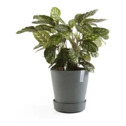 ECOPOTS Amsterdam Onderschotel Op Wielen - Grijs Ø 41,60 Cm -Aanbiedingen Intieme Eden Winkel onderschotel amsterdam wheels grijs 50 cm 1594026047 2 600