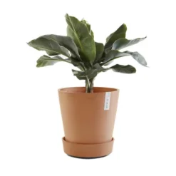 ECOPOTS Amsterdam Onderschotel Op Wielen - Terracotta Ø 41,60 Cm -Aanbiedingen Intieme Eden Winkel onderschotel amsterdam wheels terracotta 50 cm 1594026554 2 600