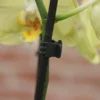 Orchideeënclips - Set Van 10 Stuks -Aanbiedingen Intieme Eden Winkel orchideenclips 1487329047 1 600