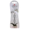 Orchideeenclips Transparant - Set Van 2 Stuks -Aanbiedingen Intieme Eden Winkel orchideenclips transparant 1619781359 1 600