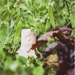 Ost-OYA Waterkruik Voor Sierpotten In Klei - Small 500 Ml -Aanbiedingen Intieme Eden Winkel ostoya waterkruik 500 ml 1626082336 2 600