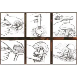 ESSCHERT DESIGN Paddenstoelenmes -Aanbiedingen Intieme Eden Winkel paddenstoelenmes 1484053684 2 600