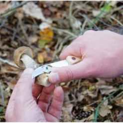 ESSCHERT DESIGN Paddenstoelenmes -Aanbiedingen Intieme Eden Winkel paddenstoelenmes 1492510947 1 600