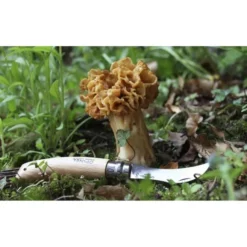 Paddenstoelenmes - OPINEL N°8 13 Paddenstoelenmes - OPINEL N°8 -Aanbiedingen Intieme Eden Winkel paddenstoelenmes opinel n8 1546937648 1 600