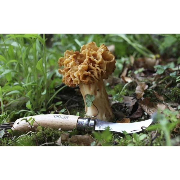 Paddenstoelenmes - OPINEL N°8 8 Paddenstoelenmes - OPINEL N°8 - Afbeelding 6
