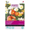 Papaver IJslandse (Poppies) -Aanbiedingen Intieme Eden Winkel papaver ijslandse poppies 1646840318 169 600