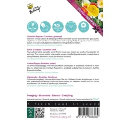 Papaver IJslandse (Poppies) -Aanbiedingen Intieme Eden Winkel papaver ijslandse poppies 1646840318 170 600