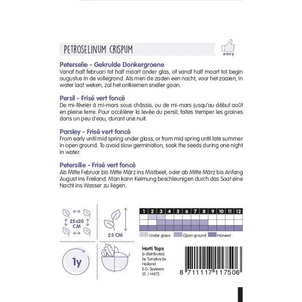 Peterselie - Petroselinum Crispum 4 Peterselie - Petroselinum Crispum - Afbeelding 2