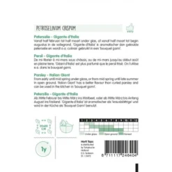 Peterselie Gigante DItalia - Petroselinum Crispum 5 Peterselie Gigante DItalia - Petroselinum Crispum -Aanbiedingen Intieme Eden Winkel peterselie gigante ditalia petroselinum crispum 1646840353 895 600