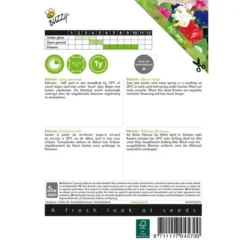 Petunia - Petunia Nana Compacta -Aanbiedingen Intieme Eden Winkel petunia petunia nana compacta 1646840330 420 600