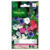 Petunia Gemengd -Aanbiedingen Intieme Eden Winkel petunia gemengd 1646839546 237 600