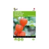 Physalis Alkekengi (oranje Lampionnetjes) -Aanbiedingen Intieme Eden Winkel physalis alkekengi oranje lampionnetjes 1646840337 557 600