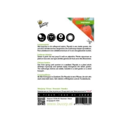 Physalis Alkekengi (oranje Lampionnetjes) -Aanbiedingen Intieme Eden Winkel physalis alkekengi oranje lampionnetjes 1646840337 558 600