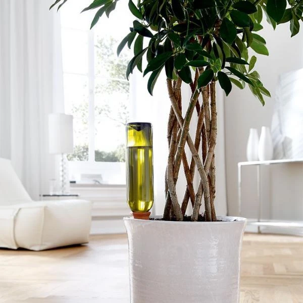 Plantbewateringssyteem Terracotta - Set Van 4 Stuks 5 Plantbewateringssyteem Terracotta - Set Van 4 Stuks - Afbeelding 3