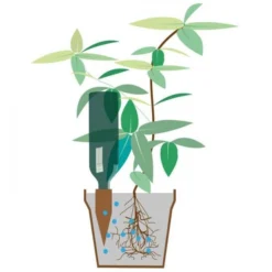 Plantbewateringssyteem Terracotta - Set Van 4 Stuks 11 Plantbewateringssyteem Terracotta - Set Van 4 Stuks -Aanbiedingen Intieme Eden Winkel plantenbewatering terracotta 1484057257 3 600