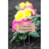 Plantenlabels Koperplaatjes - Set Van 5 Stuks -Aanbiedingen Intieme Eden Winkel plantenlabel verzinkt 1486564763 0 600