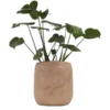 Plantenpot Pia Hout - 23,5 × 23,5 Cm 1 Plantenpot Pia Hout - 23,5 × 23,5 Cm -Aanbiedingen Intieme Eden Winkel plantenpot pia hout 235 x 235 cm 1615219224 1 600