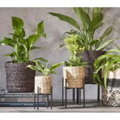 Plantenstandaard Scott Zwart - 16 × 16 × 35 Cm -Aanbiedingen Intieme Eden Winkel plantenstandaard 16 x 16 x 35 cm 1613131338 1 600