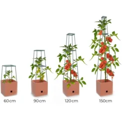 Plantentoren Maxitom Met Waterreservoir - Terracotta -Aanbiedingen Intieme Eden Winkel plantentoren maxitom terracotta 1680165024 1 600