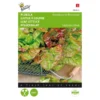 Pluksla Amerikaanse Roodrand - Lactuca Sativa 1 Pluksla Amerikaanse Roodrand - Lactuca Sativa -Aanbiedingen Intieme Eden Winkel pluksla amerikaanse roodrand lactuca sativa 1646840314 57 600
