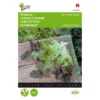 Pluksla Rode Eikenblad - Lactuca Sativa