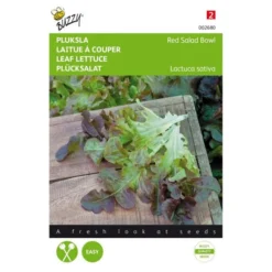 Pluksla Rode Eikenblad - Lactuca Sativa