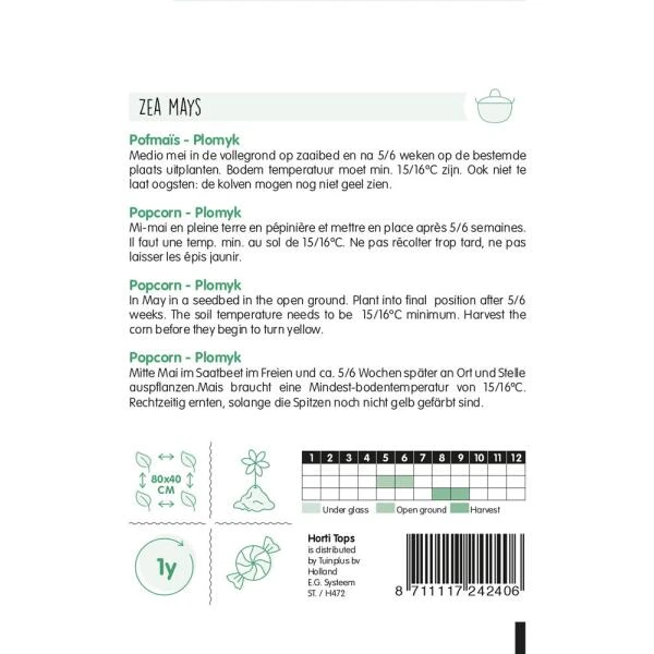 Pofmaïs/Popcorn Plomyk, Type Peppi - Zea Mays 4 Pofmaïs/Popcorn Plomyk, Type Peppi - Zea Mays - Afbeelding 2