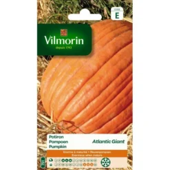 Pompoen Atlantic Giant Tot 200 Kg