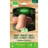 Pompoen Butternut BIO 1 Pompoen Butternut BIO -Aanbiedingen Intieme Eden Winkel pompoen butternut bio 1646839542 208 600