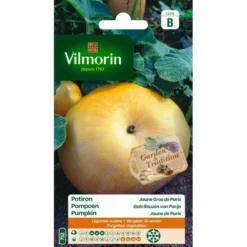 Pompoen Gele Reuzen Van Parijs