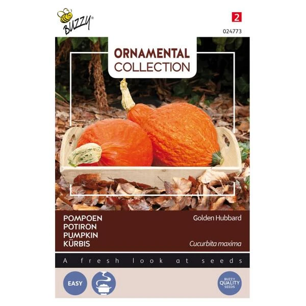 Pompoen Kalebas Golden Hubbard 3 Pompoen Kalebas Golden Hubbard