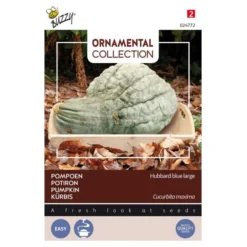 Pompoen Kalebas Large Blue Hubbard