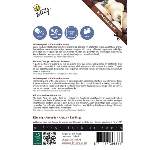 Pompoen Kalebas Waltham Butternut 4 Pompoen Kalebas Waltham Butternut - Afbeelding 2