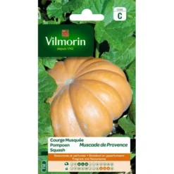 Pompoen Muscade De Provence