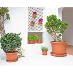 Bloempot Venezia 70 Cm - Terracotta -Aanbiedingen Intieme Eden Winkel pot venezia cilindro 70cm terracotta 1610626525 1 600