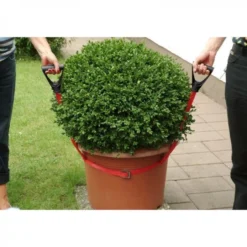 Draagriem Voor Potten