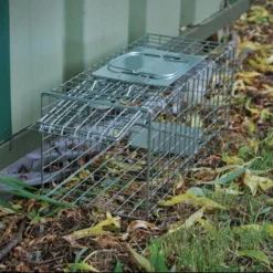 Professionele Vangkooi Voor Konijnen, Marters, Wilde Katten,...- Medium -Aanbiedingen Intieme Eden Winkel professionele vangkooi medium 1640681288 2 600