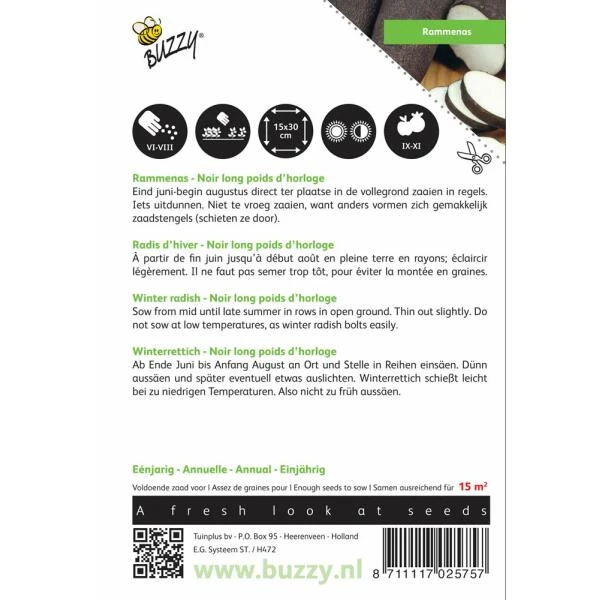 Rammenas Lange Zwarte - Raphanus Sativus 4 Rammenas Lange Zwarte - Raphanus Sativus - Afbeelding 2