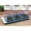 Reuzepropagator 3 Kweekkassen - Verwarmde Zaaibak -Aanbiedingen Intieme Eden Winkel reuzepropagator elektrisch 1484053180 1 600