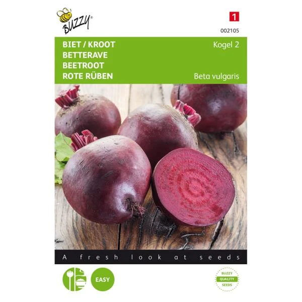 Rode Bieten Kogel 2 - Beta Vulgaris 3 Rode Bieten Kogel 2 - Beta Vulgaris