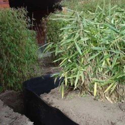 Rootblock Professionele Wortelwering 60 Cm Hoog - / Strekkende Meter -Aanbiedingen Intieme Eden Winkel rootblock professionele wortelwering 1552733360 3 600