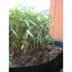 Rootblock Professionele Wortelwering 60 Cm Hoog - / Strekkende Meter -Aanbiedingen Intieme Eden Winkel rootblock professionele wortelwering 1552733360 5 600