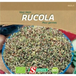 Rucola Spruiten - Kiemgroente BIO