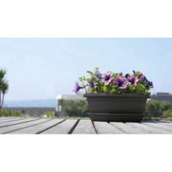 Bloemenschaal Venezia 30 Cm - Antraciet 7 Bloemenschaal Venezia 30 Cm - Antraciet -Aanbiedingen Intieme Eden Winkel schaal venezia 30cm antraciet 1610631304 3 600