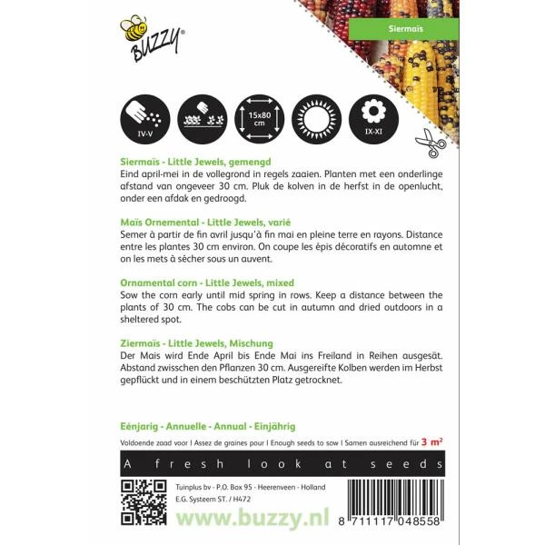 Siermais Multicolour - Zea Japonica 4 Siermais Multicolour - Zea Japonica - Afbeelding 2