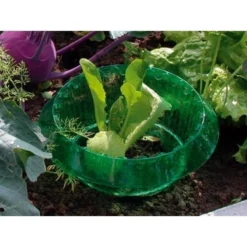 Slakken Beschermringen - Set Van 6 Stuks -Aanbiedingen Intieme Eden Winkel slakken beschermingsringen 1484053655 3 600