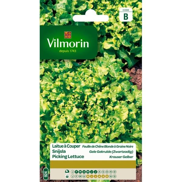 Snijsla Gele Gekrulde (zwartzadig) 3 Snijsla Gele Gekrulde (zwartzadig)