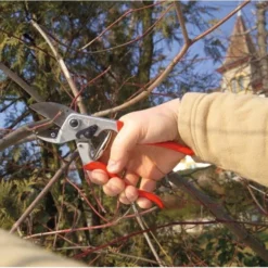 Snoeischaar Felco 31 - Aambeeld -Aanbiedingen Intieme Eden Winkel snoeischaar felco 31 aambeeld 1517237735 2 600