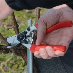 Snoeischaar Felco 7 Met Rolhandgreep -Aanbiedingen Intieme Eden Winkel snoeischaar felco 7 met rolhandgreep 1517234916 2 600