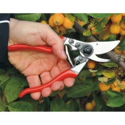 Snoeischaar FELCO 9 - Klassiek Linkshandigen -Aanbiedingen Intieme Eden Winkel snoeischaar felco 9 linkshandigen 1517237191 2 600